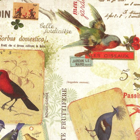 Birds & Botanical Florantine Paper ~ Rossi Italy